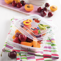 Snips 3 Pieces Fresh Square Container 0.5 L Set - Al Makaan Store