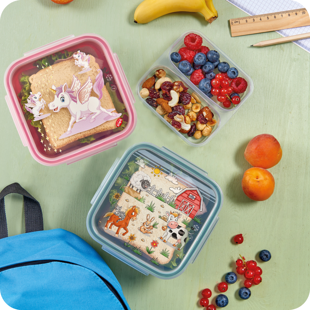 Lunch Boxes