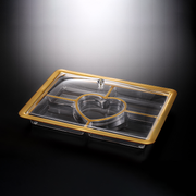 Vague Acrylic Rectangular Serving Set with Dividers 49 cm - Al Makaan Store