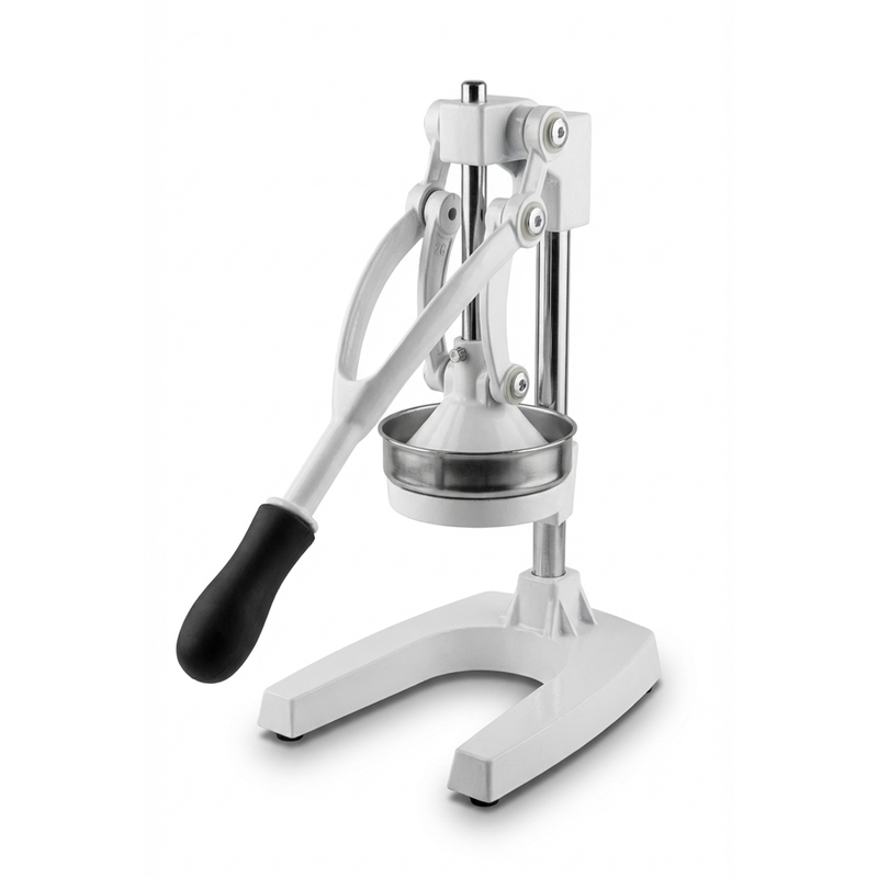 Vague Aluminium Juice Extractor 40 x 30 cm (Assorted Colors)