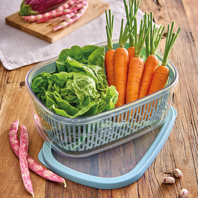 Wholesale Bundle: Snips Aroma Vegetables & Fruits Keeper 4 Liter in Bulk (6-Pack) - Al Makaan Store