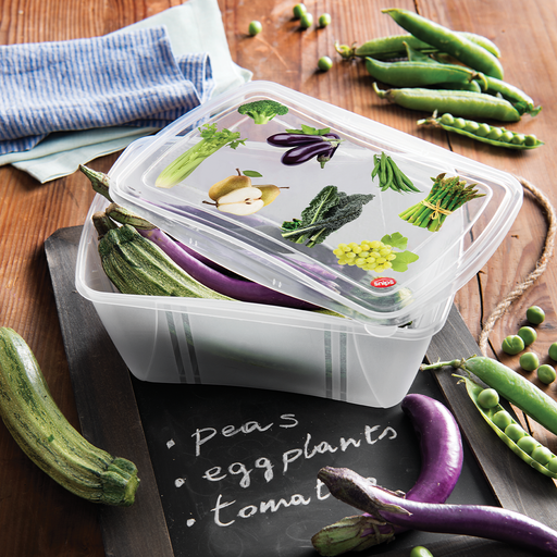 Snips 2 Pieces Fresh Rectangular Container 2 Liter Set - Al Makaan Store