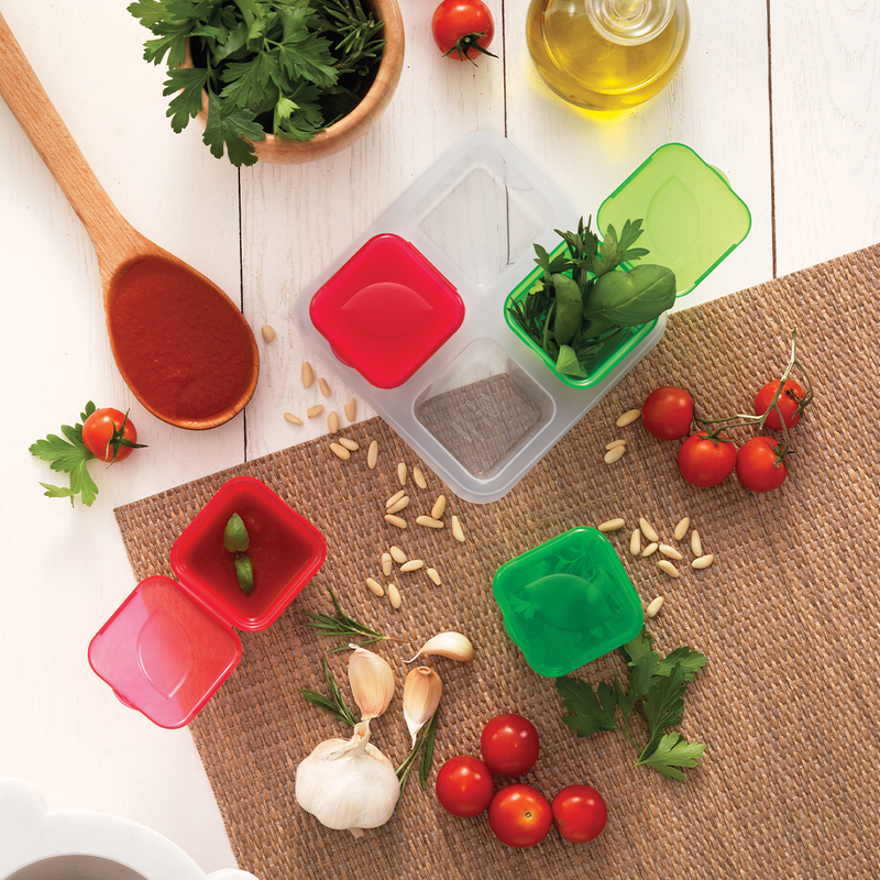 Snips 4 Pieces Frozen Sauce & Herb Small Single and Portion Containers  100 ml - Al Makaan Store