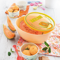 Snips Melon Saver 2 Liter - Al Makaan Store
