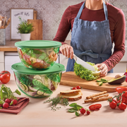 Snips Polystyrene Green Salad Bowl with Lid  23.5 cm - Al Makaan Store