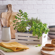 Snips Kitchen Box 2 Liter - Al Makaan Store