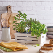 Snips Kitchen Box 5 Liter - Al Makaan Store