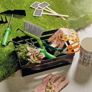 Snips Polystyrene Storage Box - Al Makaan Store