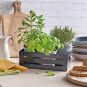 Snips Polystyrene Storage Box - Al Makaan Store