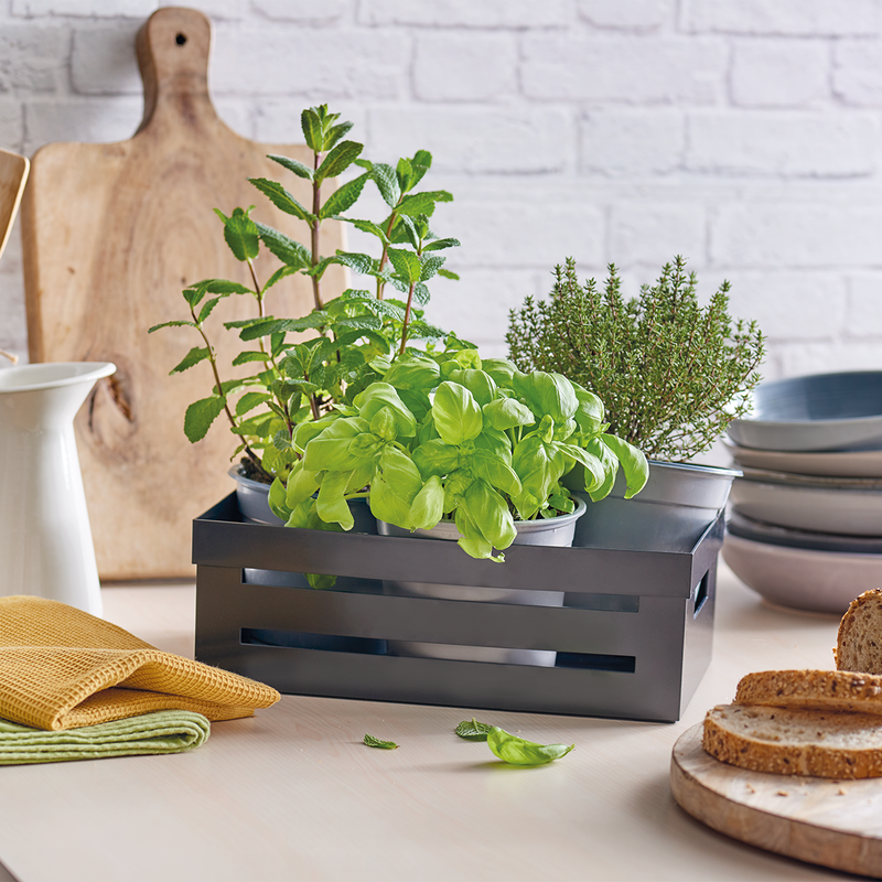 Snips Polystyrene Storage Box - Al Makaan Store