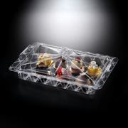 Vague Rectangular Acrylic Desserts Serving Set Flower Design - Al Makaan Store