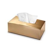 Vague Acrylic Tissue Box with Metallic Finish - Al Makaan Store