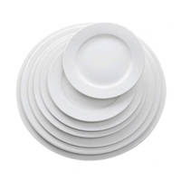 Porceletta Ivory Porcelain Flat Plate - Al Makaan Store