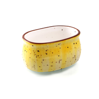 Porceletta Color Glaze Porcelain Sugar Pot - Al Makaan Store