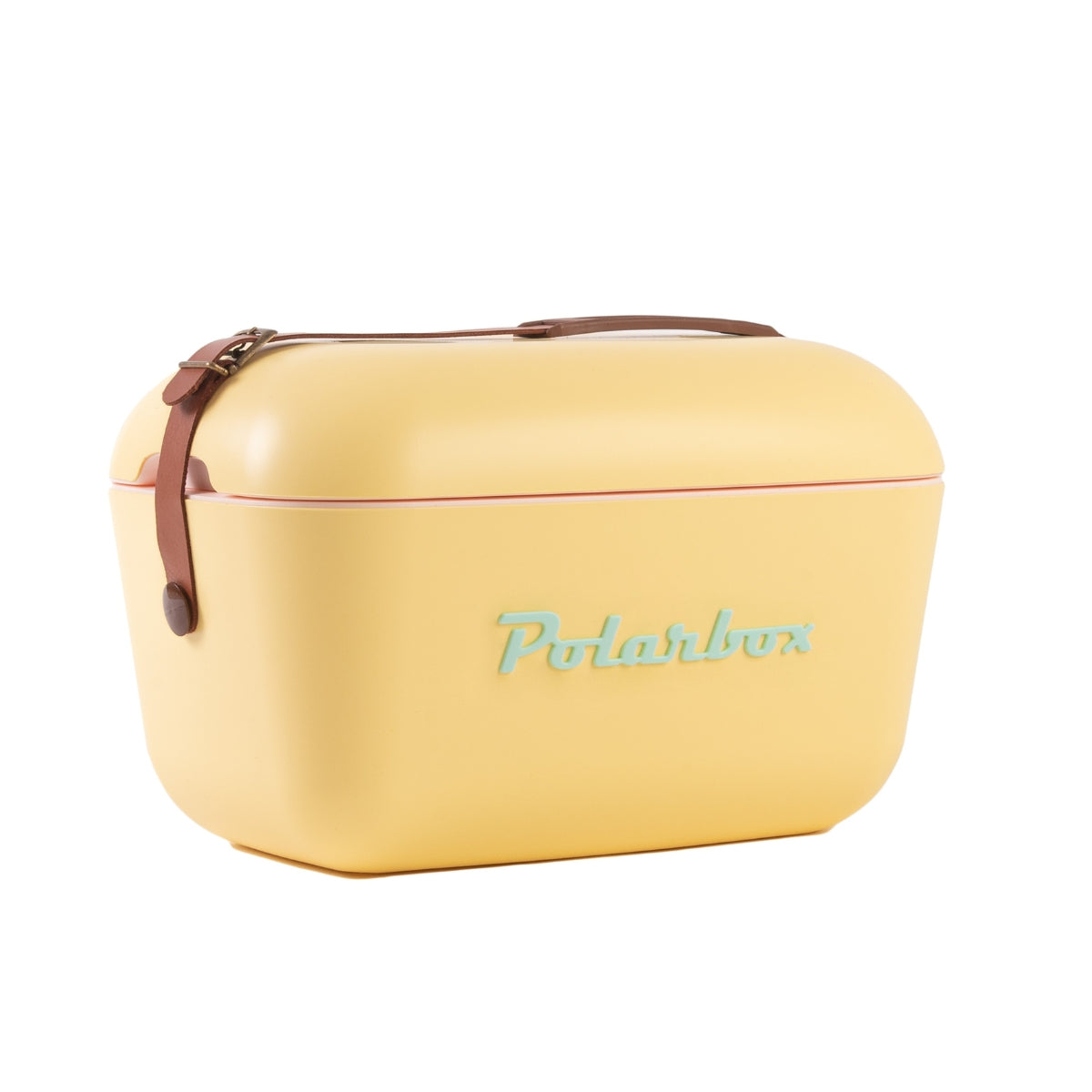 Polarbox 20L Classic Cooler Box with Leather Strap , Yellow & Cyan ...