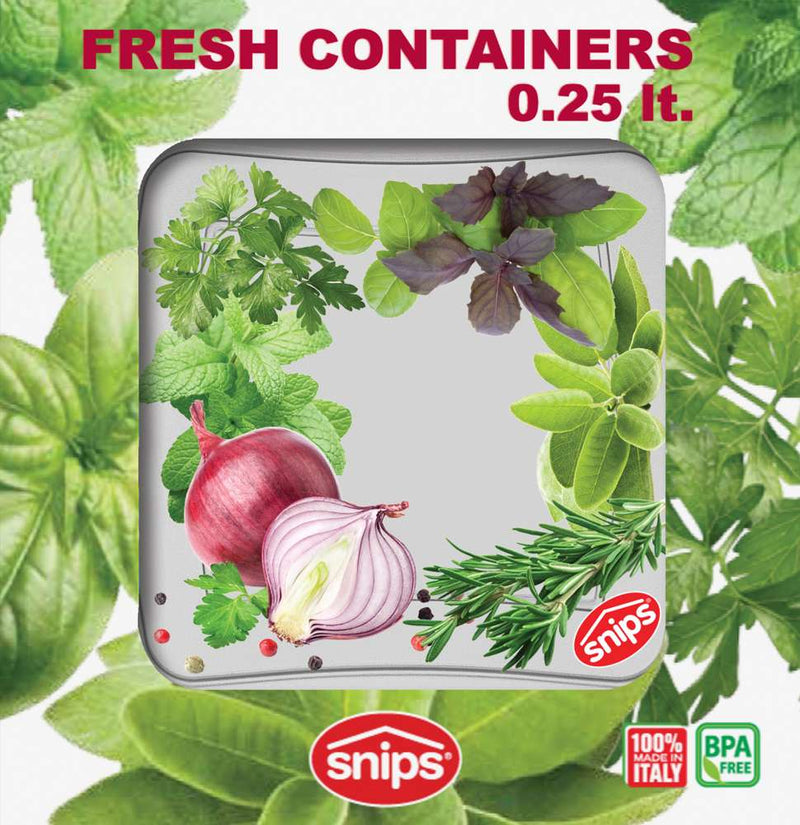 Snips 3 Pieces Fresh Square Container 0.25 Liter Set - Al Makaan Store