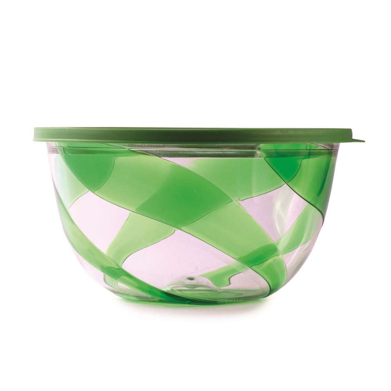 Snips Polystyrene Green Salad Bowl with Lid  23.5 cm - Al Makaan Store