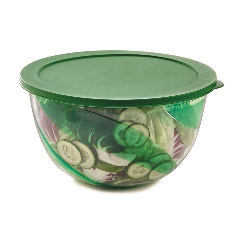 Snips Polystyrene Green Salad Bowl with Lid  23.5 cm - Al Makaan Store