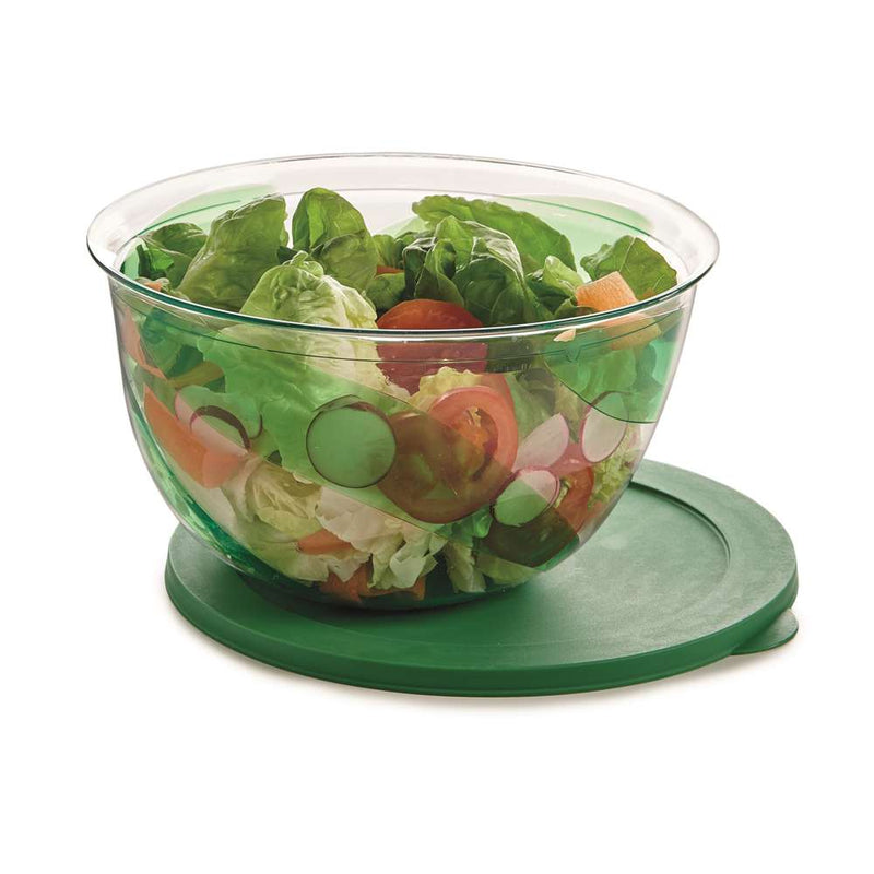 Snips Polystyrene Green Salad Bowl with Lid  23.5 cm - Al Makaan Store