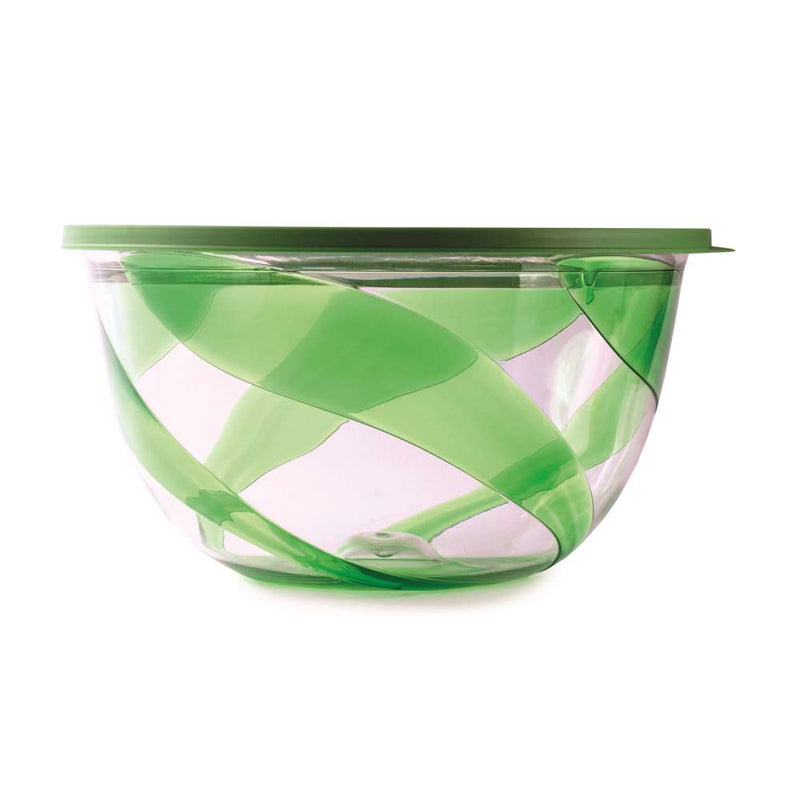Snips Polystyrene Green Salad Bowl with Lid  23.5 cm - Al Makaan Store