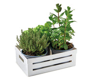 Snips PPmKitchen Box 2 Liter - Al Makaan Store